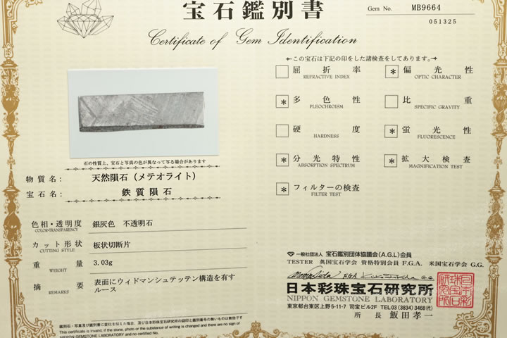 3.03gギベオン隕石ラフ　ナミビア産　鑑別書付き