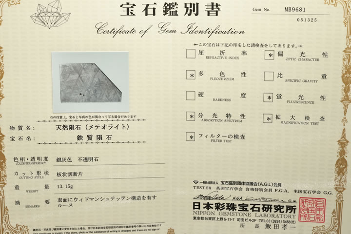 13.15gギベオン隕石ラフ　ナミビア産　鑑別書付き