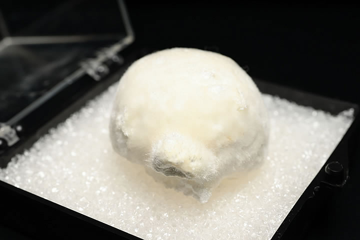オケナイト原石(オーケン石)インド産 ケース入り(大)