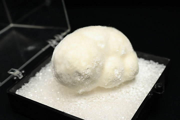 オケナイト原石(オーケン石)インド産 ケース入り(大)