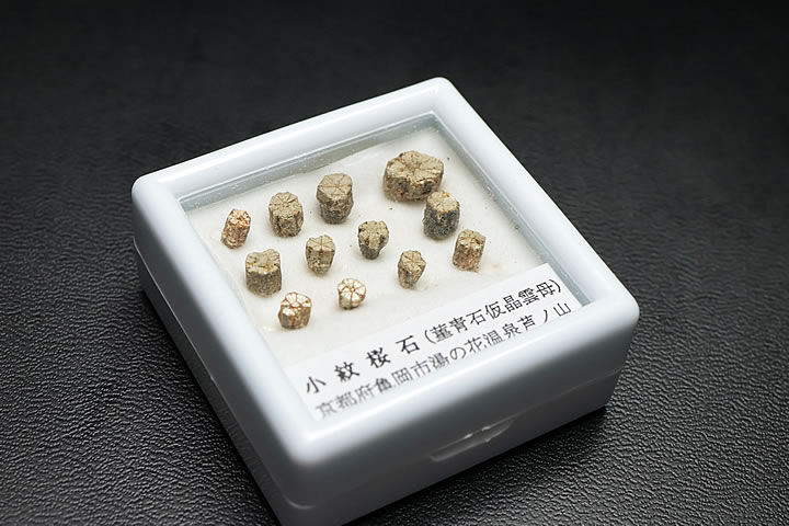 小紋桜石 ケース入り 京都府亀岡市産 天然記念物指定