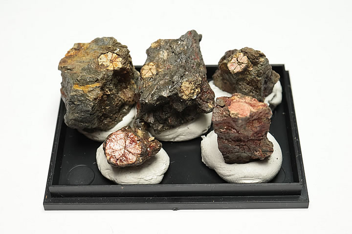 楽天市場】桜石（天然石（原石）｜パワーストーン）：占い・開運・風水