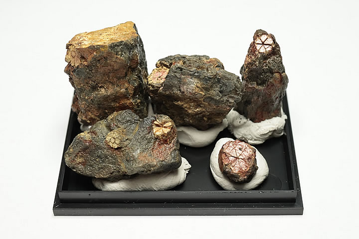 桜石 ケース入り 京都府亀岡市産 天然記念物指定