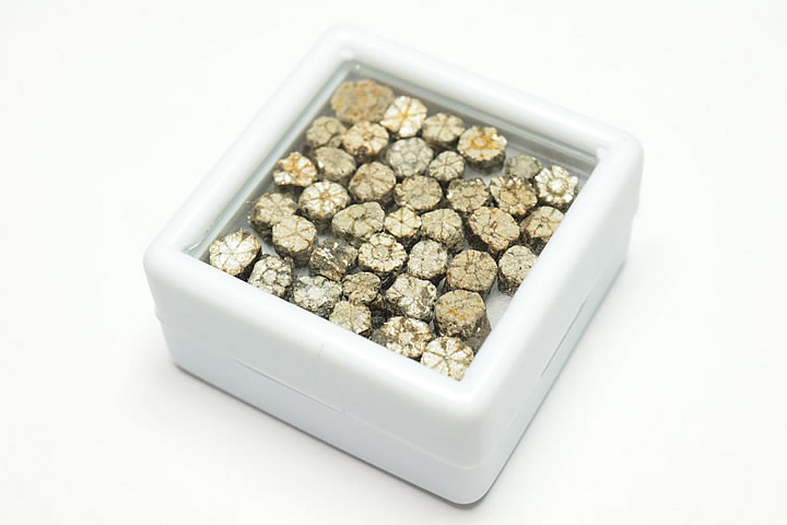 桜石 ケース入り 京都府亀岡市産 天然記念物指定