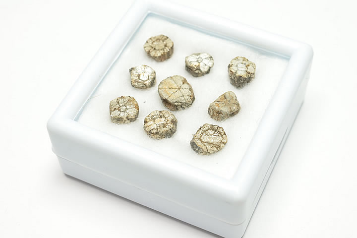 桜石 ケース入り 京都府亀岡市産 天然記念物指定