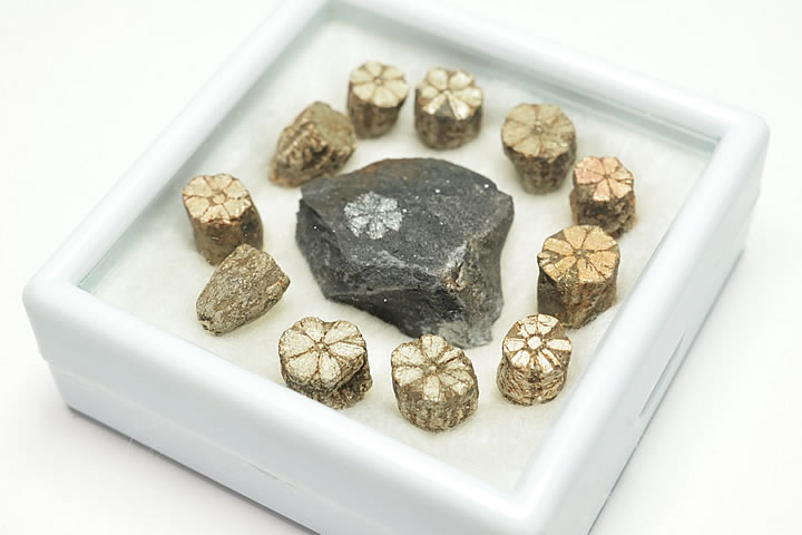 楽天市場】桜石（天然石（原石）｜パワーストーン）：占い・開運・風水