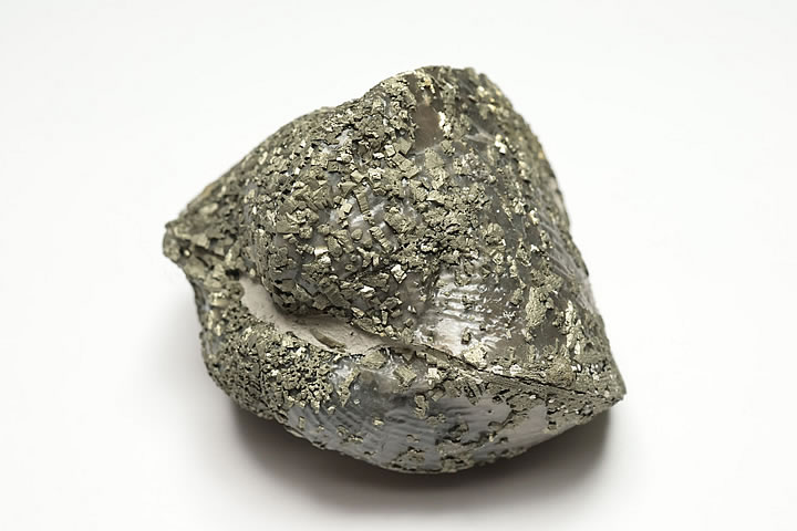 5.7×4.4×4.2cm 108g　 パイライト化したデボン紀のパラスピリファー化石です。 表面がパイライトに覆われたオハイオ産の名物化石です。 パラスピリファーは一見二枚貝に見えますが腕足動物に分類されます。 学名:Paraspirifer Bownockeri　 産地:Silica Formation, Lucas Co., Ohio　