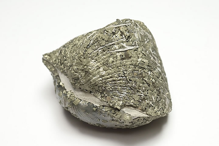 5.9×4.4×4.3cm 122g　 パイライト化したデボン紀のパラスピリファー化石です。 表面がパイライトに覆われたオハイオ産の名物化石です。 パラスピリファーは一見二枚貝に見えますが腕足動物に分類されます。 学名:Paraspirif...