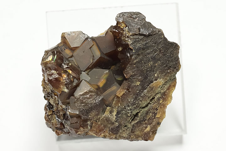 奈良県天川村産 灰鉄ザクロ石群晶 オレンジライン