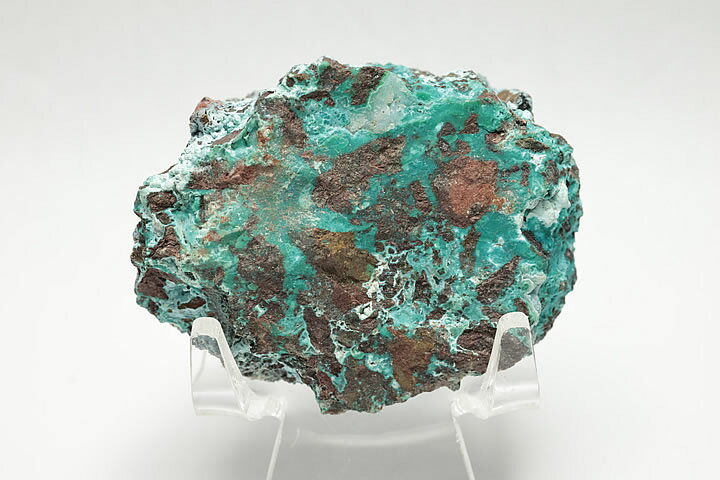 クリソコーラ アリゾナ産