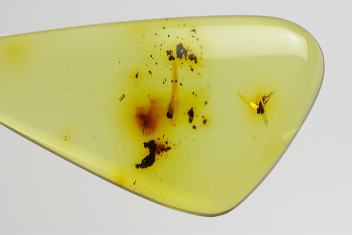 太古の約3000万年前にマツヤニの樹脂が化石化しまして、ゴールデングリーンに輝く宝石化しました、ドミニカ共和国で産出されます、グリーンアンバーです。 ギャラリーメイスンはインクルージョンが少ない、透明感のあるグリーンアンバーに着目して仕入れました。絶対の自信があります。加えてこの良質で希少なグリーンアンバーの中には太古の虫が閉じ込められています。 トップ部分:3.7×1.9×0.5cm　