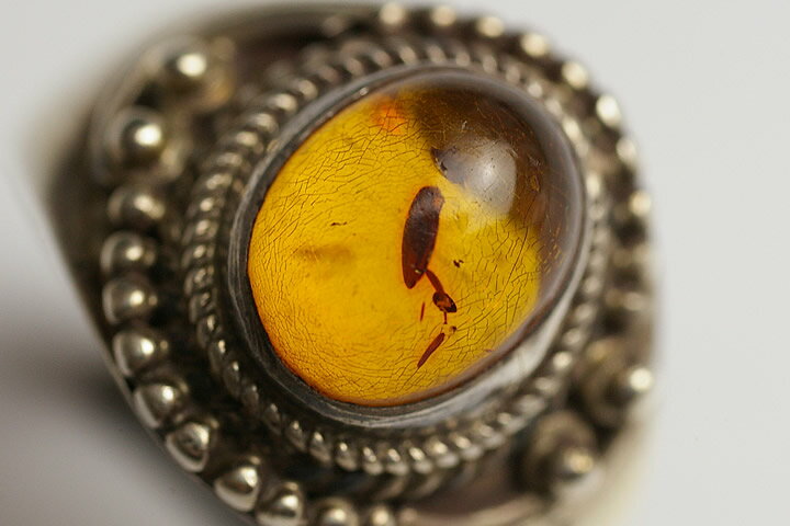 コハクリング14号