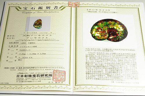 �����饤�ȥڥ����ȥȥåס����奨�꡼���졼�ɴ��̾��դ�