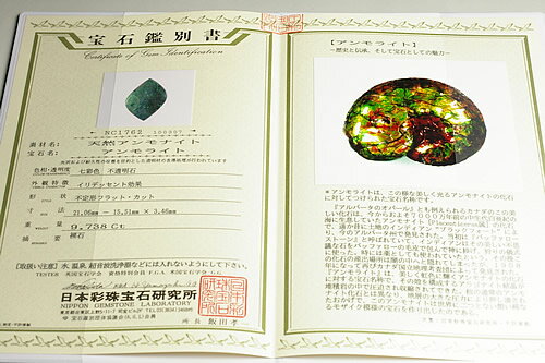 �����饤�ȥڥ����ȥȥåס����奨�꡼���졼�ɴ��̾��դ�