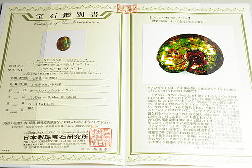 �����饤�ȥڥ����ȥȥåס����奨�꡼���졼�ɴ��̾��դ�