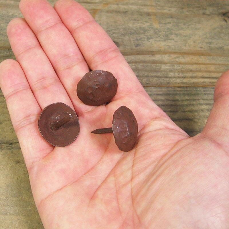 �饹�ƥ��å� ��������ͥ��� S (��20) #�饹�Ȣ�1�Ĥ��Ĥ�����Ǥ����� �����å� Ŵ�� �Ӥ礦 ������ �ץå���ԥ� �� ��ʪ ��� �ѡ��� �ӥ�ơ��� �ɥ� ���� �ȶ� ������ diy ��ᥤ�� ��