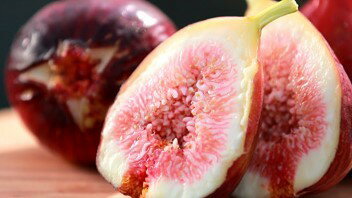 いちじくの芳醇で奥深い あま い ソースです お好み焼き たこ焼き 焼きそば とんかつなど ツヅミ食品 市販 何に使ってもおいしくなる万能タイプのソース お子様におすすめです 500ml いちじくソース 本場大阪からお届けいたします