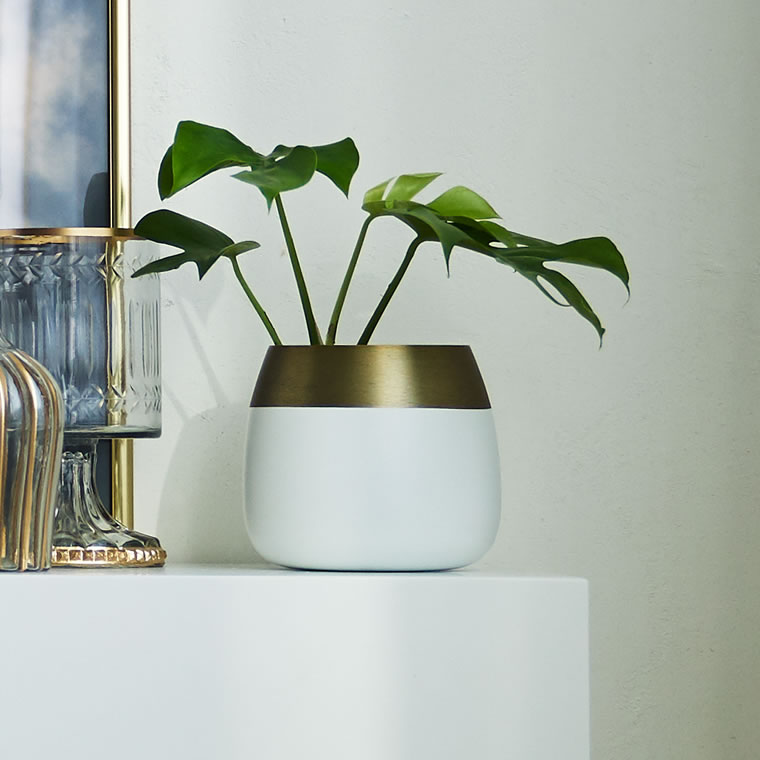 S [Re:EDIT HOME]Υץ󥿡S ǥ /  ץ󥿡 ȭ ץ󥿡ݥå ߥ˥ޥ ץ [ͽ]