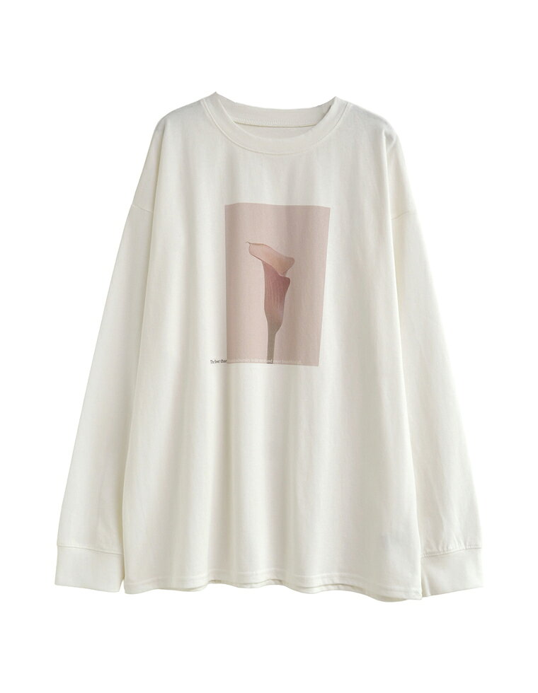 フォトプリントアソート長袖Ｔシャツ