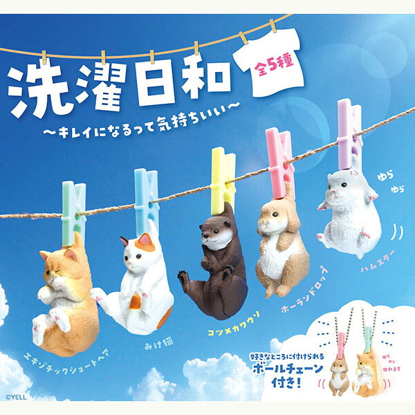 Rakuten - 【新品】エール 洗濯日和：BOX《10個入》【宅配便】