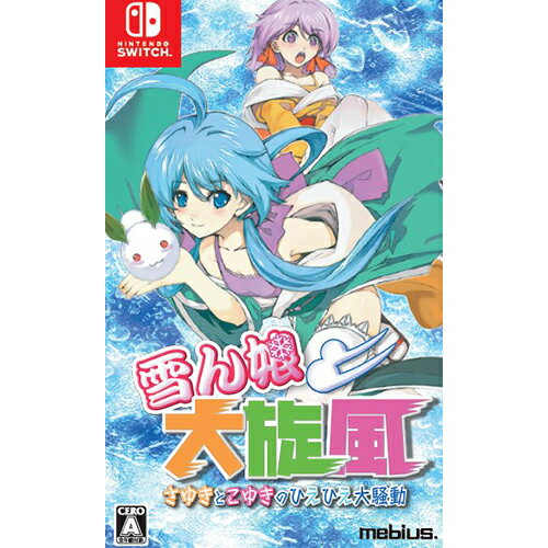 【新品】Switch 雪ん娘大旋風 ～さゆきとこゆきのひえひえ大騒動～【メール便】