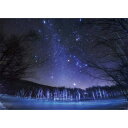 【新品】ジグソーパズル KAGAYA 北海道 美瑛に降る星のダイヤモンド【光る】500ピース(38x53cm)【宅配便】