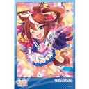 【新品】ジグソーパズル ウマ娘 プリティーダービー 夢は掲げるものなのだっ！ 300ピース【宅配便】