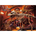 【新品】ジグソーパズル 服部 雅人 Dinosaur in Museum 600ピース(38x53cm)【宅配便】