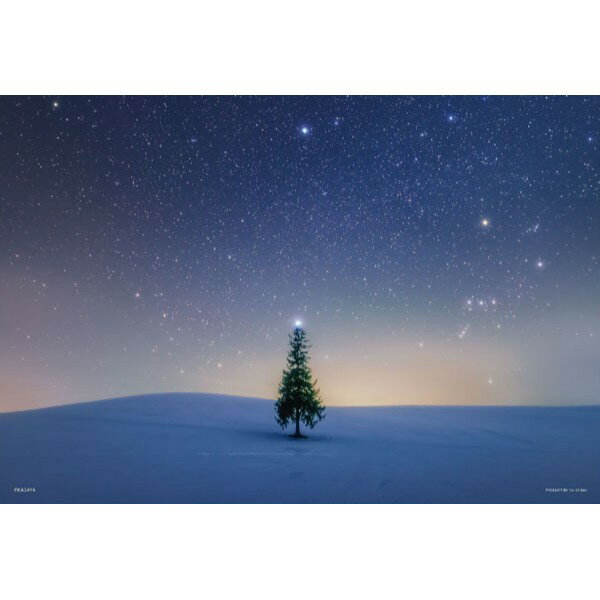 Rakuten - 【新品】ジグソーパズル シリウスのツリー(北海道) 300ピース（26×38cm）【宅配便】