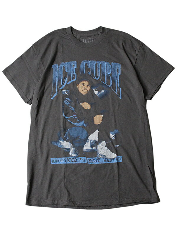 【インポート】ICE CUBE AmeriKKKa 039 s MOST WANTED SHORT SLEEVE TEE SHIRTS gray アイス キューブ アメリカズ モスト ウォンテッド フォト 半袖 Tシャツ グレー