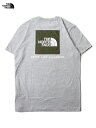 yUSfzTHE NORTH FACE S/S BOX NSE Tee tnf light gray x military olive U m[XtFCX obNvg {bNX S TVc O[/I[u