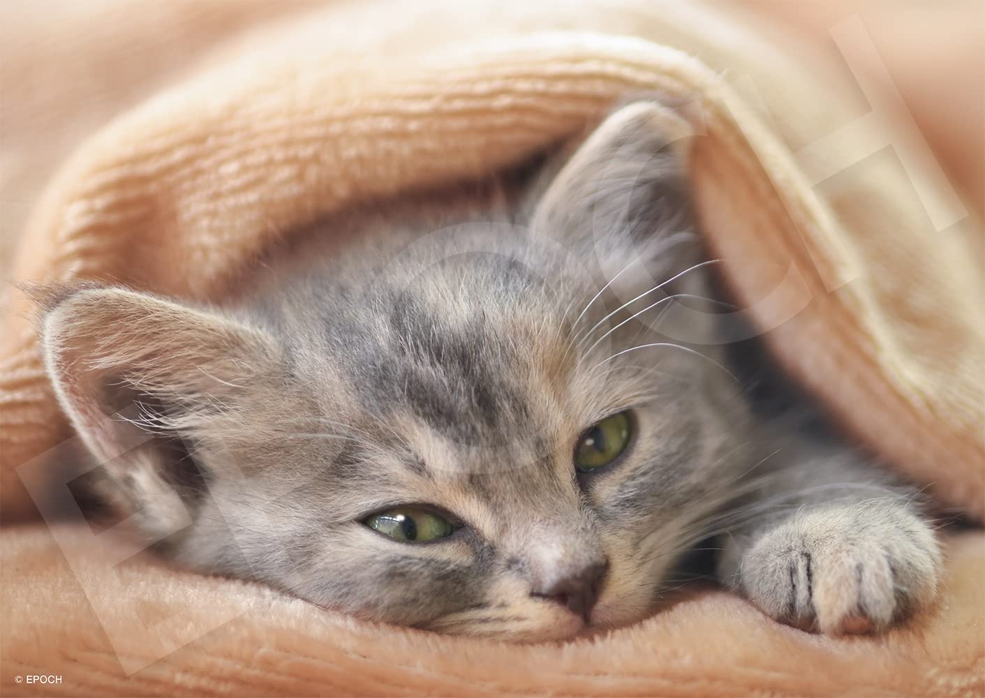 エポック社 108ピース ジグソーパズル いきもの/ペット ねこ おきませんので (18.2×25.7cm) 03-090 のり付き ヘラ付き 点数券付き EP...