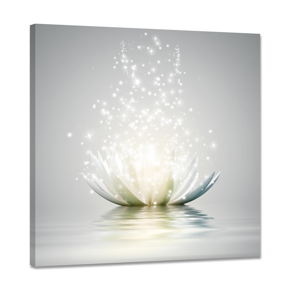  ȥѥͥ ݥ ϡβ  ƥꥢ ʪ ɳݤ ֤γ  골 ɳݤ ؤ˾볨 դδ(40x40cm)