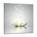 花 アートパネル ポスター 蓮の花 絵画 インテリア 植物 壁掛け 花の絵 部屋 飾り絵 壁掛け装飾品 玄関に飾る絵 木枠付きの完成品 (50x50cm)