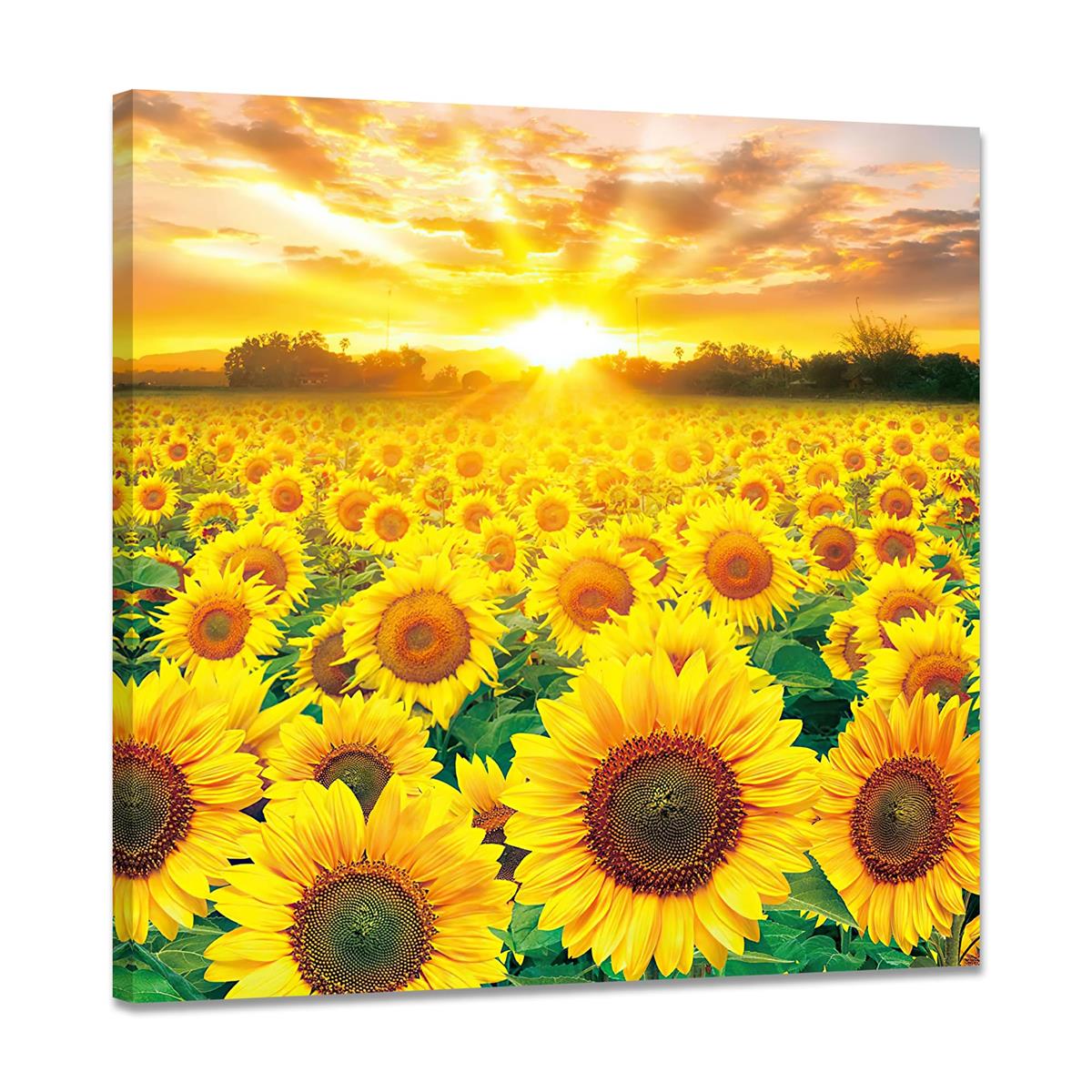 Ҥޤ   ȥѥͥ ֤γ ƥꥢ ݥ ʪ ɳݤ  골 ؤ˾볨 դδ (50x50cm)