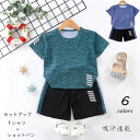 【時間限定10%OFF】セットアップ 子供服 ジャージ 吸汗速乾 キッズ 韓国子供服 上下セット ズボン 男の子 カジュアル 夏 ワイドパンツ 半袖 薄手 パンツ ゆったり 2点セット Tシャツ 半袖 ショットパンツ　リゾート スポーツスーツ キッズ こども 可愛い