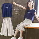 韓国子供服 セットアップ 上下セット 子供服 ジャージ キッズ ズボン 女の子 カジュアル 夏 ワイドパンツ 半袖 薄手 パンツ ゆったり 2点セット Tシャツ...