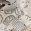 【時間限定10%OFF&Point2倍】ショーツレディース 可愛い 5点セット パンティ レースパンツ 中学生 高校生 ショーツセット レディース 少女 コット...
