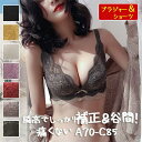 【時間限定10%OFF&Point2倍】ブラジャー セット 超盛り ブラ 上下 SET 下着 ブラショーツ レディース 女性 ブラ 盛り 美胸 美背 小胸 盛ブラ 盛りブラ 谷間 盛れるブラ 送料無料 脇高 フルレース 総レース