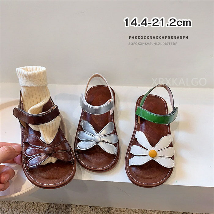 �ڴ��ָ�������10%OFF�ۻҶ�������� �Ҷ� ������� ����˥�������� �Ҷ��� ���å� ���λ� ���� ���襤�� �ե����ޥ� ���� �뺧�� ȯɽ�� �̱� �̳�...