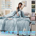 【時間限定10%OFF&5倍ポイント】【110*150cm】肌掛け布団 夏用 掛け布団 夏用ほんのり冷感 肌に優しい 子供用 昼寝 掛け布団 ダブル 涼しい