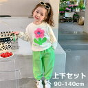 【期間限定全品10%OFF】子供 トップス パンツ 韓国子供服 セットアップ キッズ 長袖 女の子 子ども服 綿 春秋 上下セット キッズ ジュニア服 2点セッ...