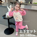 【Fashion SALE20%OFF&Point2倍】子供 トップス パンツ 韓国子供服 セットアップ キッズ 長袖 女の子 子ども服 綿 春秋 上下セット ...