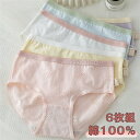 【期間限定全品10%OFF】6点セット ショーツ 綿100% レディース セット かわいい レース ショーツ 深ばき 下着 ショーツ 無地 女性 6点セット 選択可 レースパンツ 無地 綿 レディース 少女 コットン ショーツ 綿パンツ 下着女性