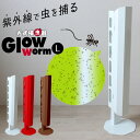 ե饤ѥŹ Ʋ TETTODO㤨 Ź ӥˡϥ  ץ (̳ Ź  ͡Ͷ 糰ͶǴͼ Glowworm LפβǤʤ36,960ߤˤʤޤ