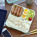 薄型弁当箱 フードマン 800ml オシャレ 洗いやすい 食器洗浄機OK 電子レンジOK