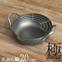 鉄 てんぷら鍋 網付 20cm リバーライト 極 JAPAN 天ぷら鍋 S ガス火対応 IH対応 厚板 鉄板 鉄製 窒化加工 サビにくい お手入れ簡単 PFOAフリー PFASフリー 鉄分摂取 両手鍋 揚げ鍋 xmas