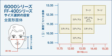 [取替式防じんマスク（RL3国家検定合格品）]【送料無料】スリーエム　ジャパン（株）　3M　取替式防じんマスク　6000F／2091−RL3　Lサイズ　6000F/2091-RL3L　1個【324-1858】【北海道・沖縄送料別途】【smtb-KD】