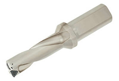 [ɥ󥰥ɥ]̵ۡʳ˥󥬥 󥬥󥰡åɥ롡TDSFLD3 TDS450F40-3 1ġ̳ƻӡۡsmtb-KDۡ710-6912