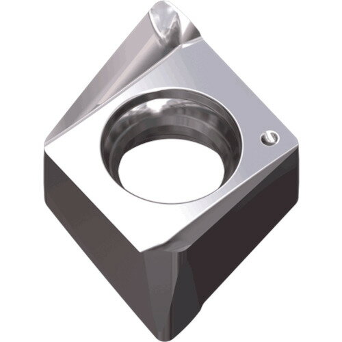 [フライス工具用チップ]【送料無料】テグテックジャパン（株） テグテック ミーリング加工用チップ チェイス4ミル 4NHT 060304R-AL K10 10個【441-5784】【北海道・沖縄送料別途】【smtb-KD】